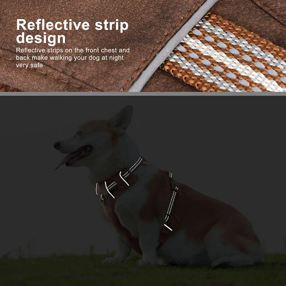 Purilite Select Waterproof Reflective Dog Harness