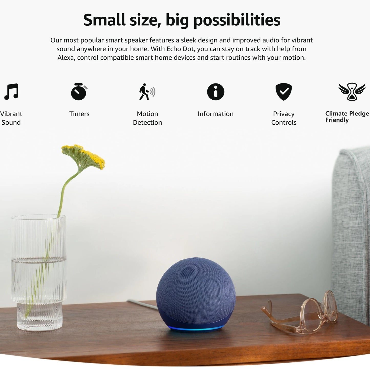 Purilite Select 2025 Alaxe Bluetooth Speaker