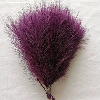 Purilite Select Fluffy Pampas Grass