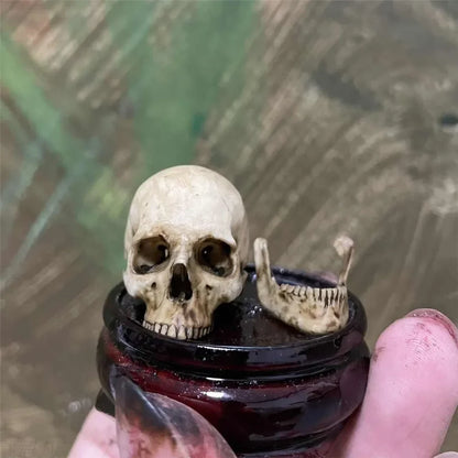 Purilite Select 1:6 Scale 3D Printed Realistic Skeleton Head