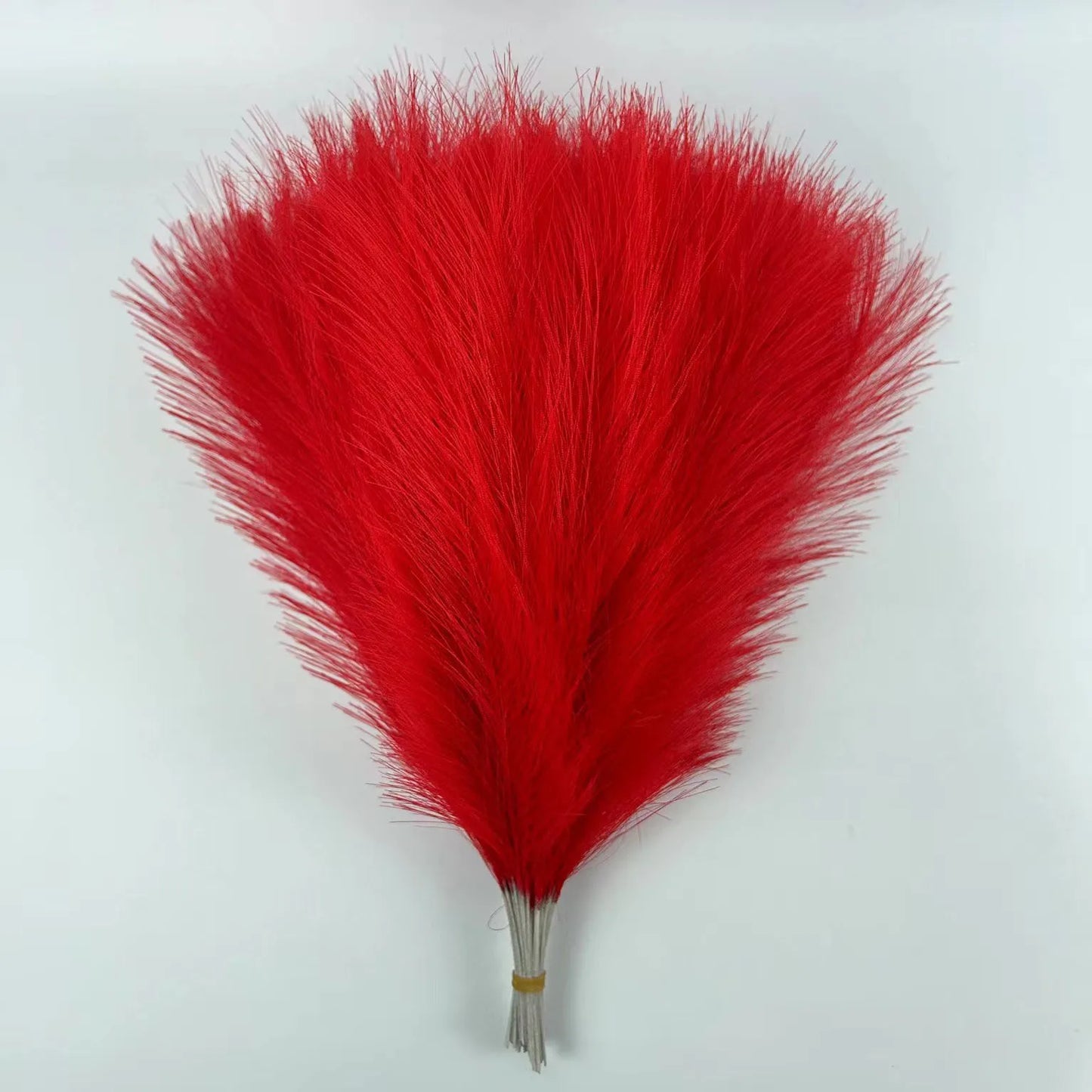 Purilite Select Fluffy Pampas Grass