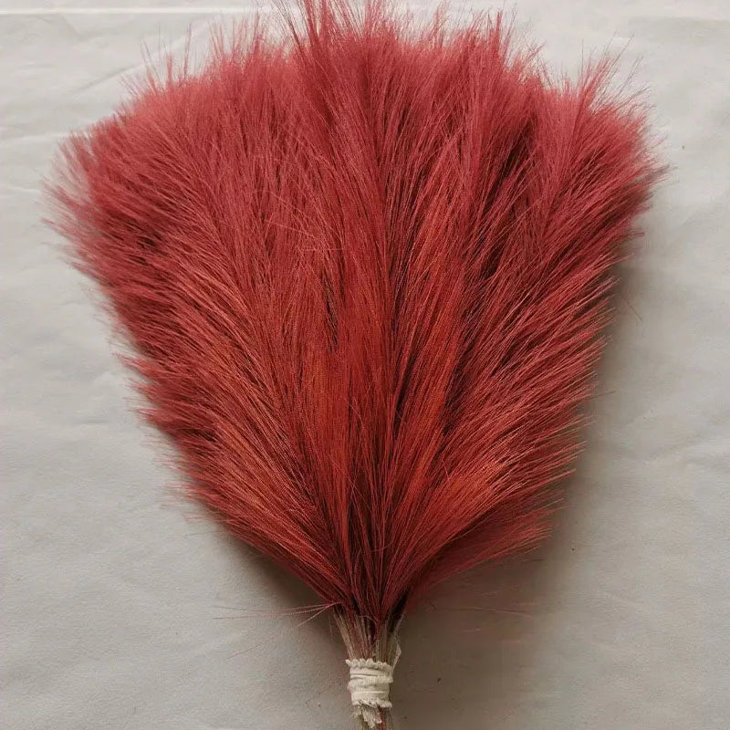 Purilite Select Fluffy Pampas Grass