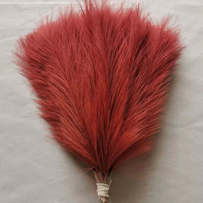 Purilite Select Fluffy Pampas Grass