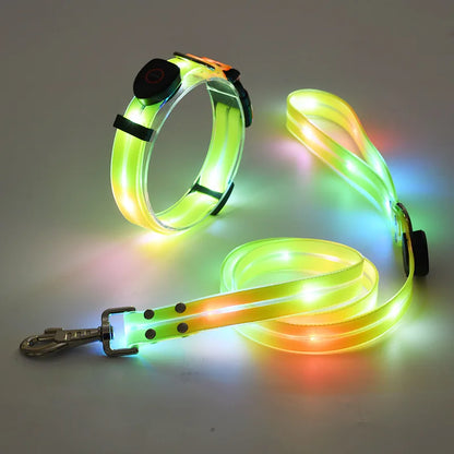 Purilite Select LED Light-Up Dog Leash & Collar