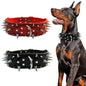 Purilite Select Adjustable Wide PU Leather Dog Collar