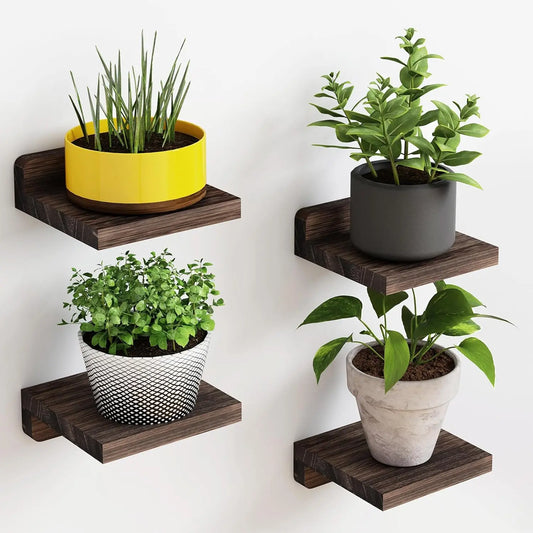Purilite Select 4-Pack Mini Floating Wood Shelves (5 Inch)