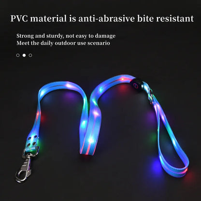 Purilite Select LED Light-Up Dog Leash & Collar