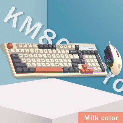 Purilite Select KM800 Pro Wired Mechanical Feel Keyboard and Mouse Set