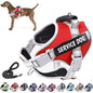 Purilite Select No-Pull Dog Vest Harness