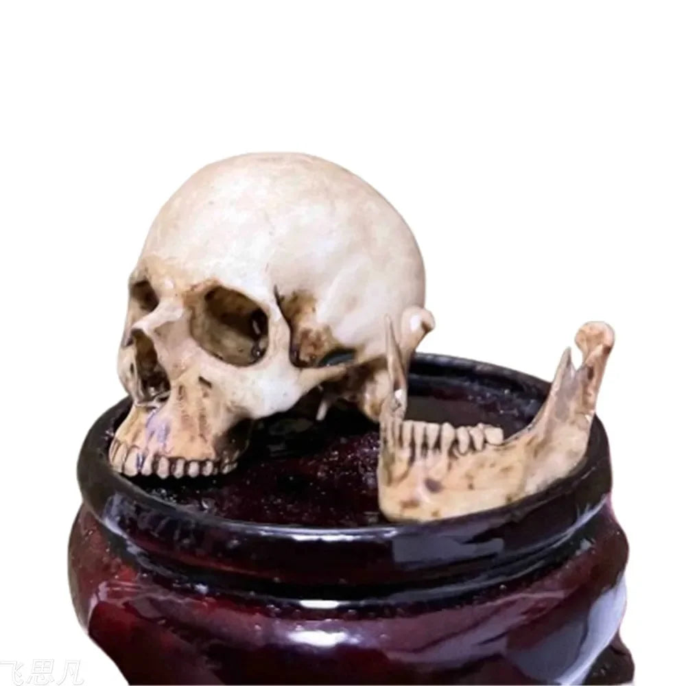 Purilite Select 1:6 Scale 3D Printed Realistic Skeleton Head