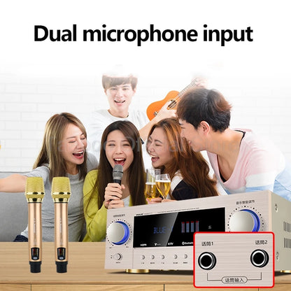 Purilite Select 1500W High Power 5.1 Professional Sound Amplifier