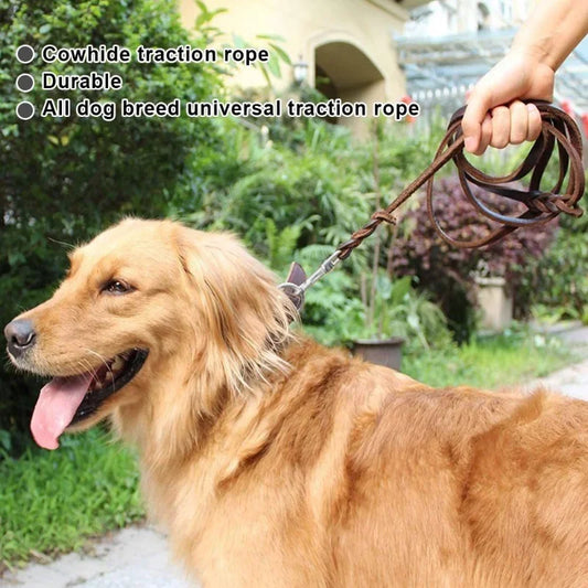 Purilite Select Genuine Leather Dog Leash