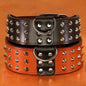 Purilite Select Genuine Leather Dog Collar