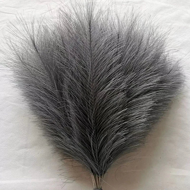 Purilite Select Fluffy Pampas Grass