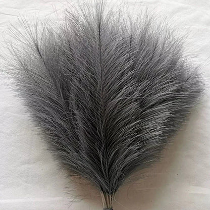 Purilite Select Fluffy Pampas Grass