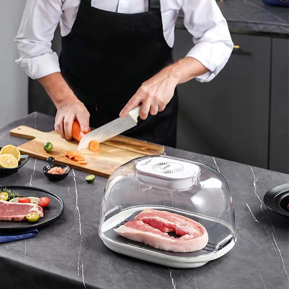 Purilite Select Multifunctional Kitchen Food Thaw Machine Fast Defroster for Meat and Frozen Foods