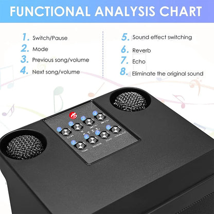 Purilite Select Portable Dual Microphone Karaoke Machine