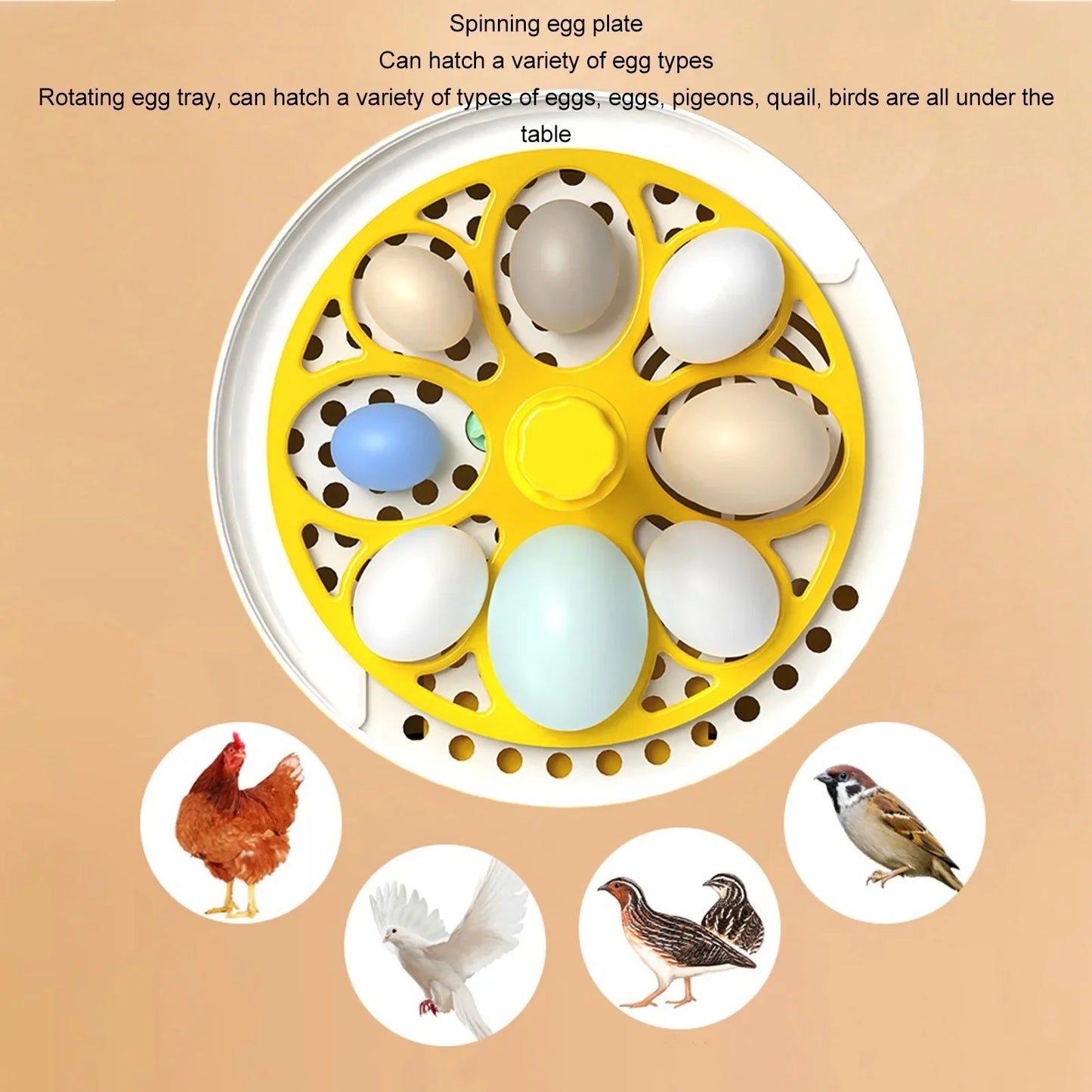 Purilite Select Mini Egg Incubator | Automatic Temperature & Humidity Control | 4-Egg Poultry Hatching Machine for Home Use