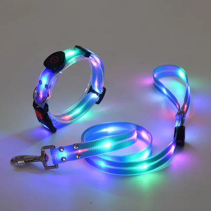 Purilite Select LED Light-Up Dog Leash & Collar