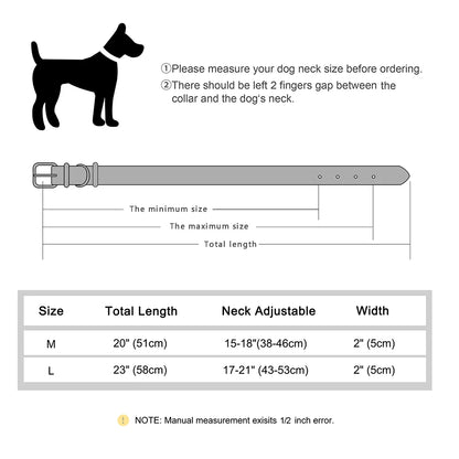 Purilite Select Genuine Leather Dog Collar
