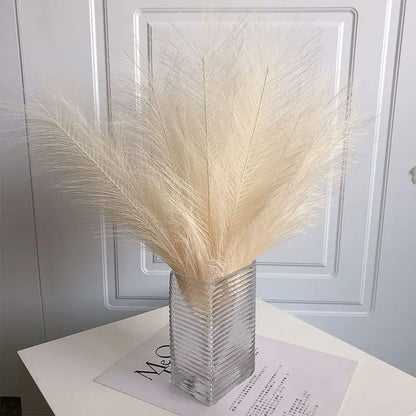 Purilite Select Fluffy Pampas Grass