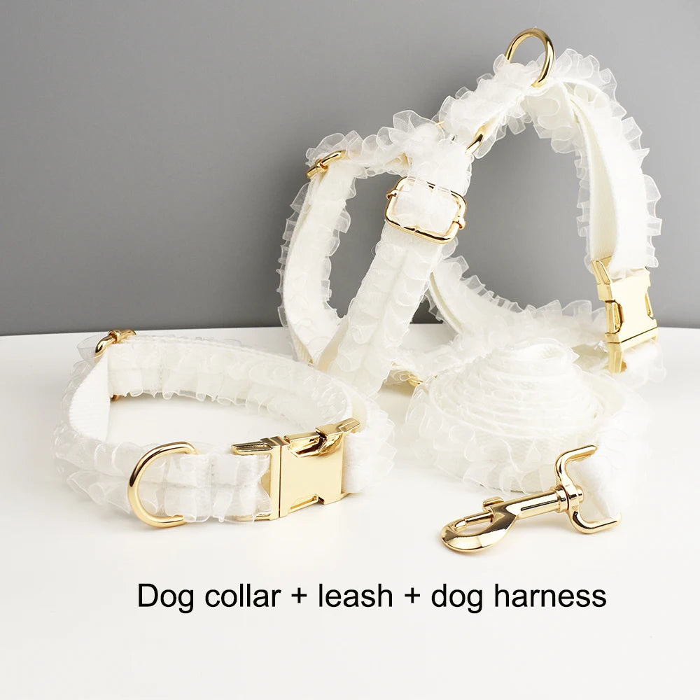 Purilite Select Custom Engraved White Lace Dog Collar & Leash Set
