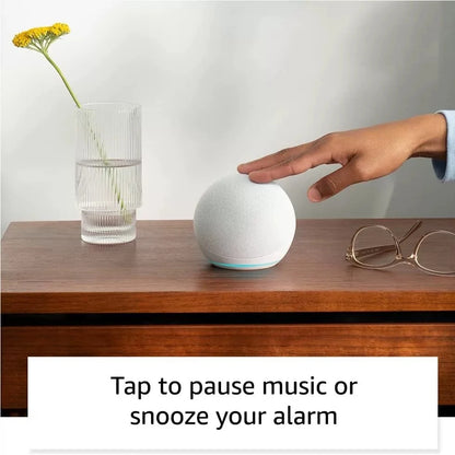Purilite Select 2025 Alaxe Bluetooth Speaker