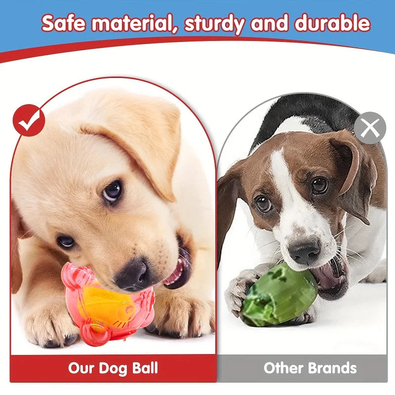 Purilite Select Dog Chew Toy Squeaky Rubber Puppy Toy with Bear Head Design for Small and Large Dogs