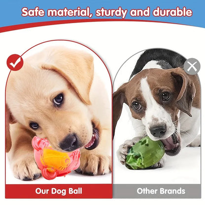 Purilite Select Dog Chew Toy Squeaky Rubber Puppy Toy with Bear Head Design for Small and Large Dogs