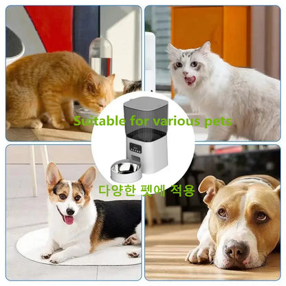 Purilite Select Automatic Pet Feeder & Water Dispenser