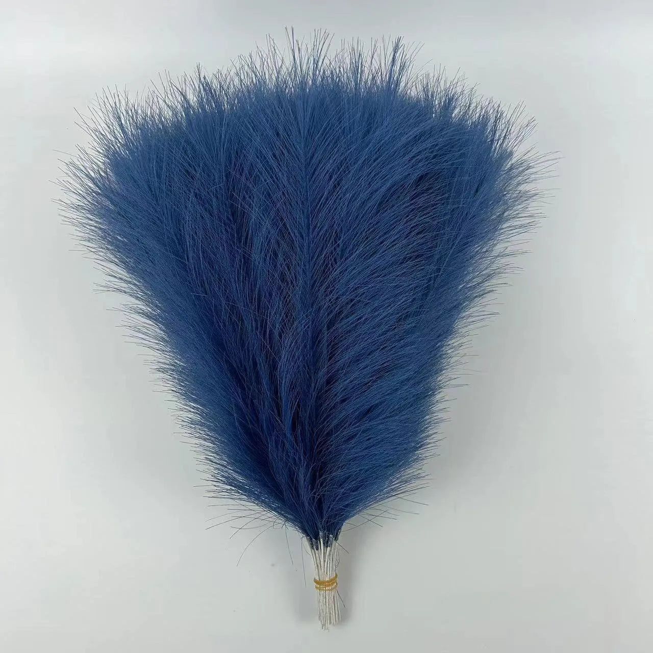 Purilite Select Fluffy Pampas Grass