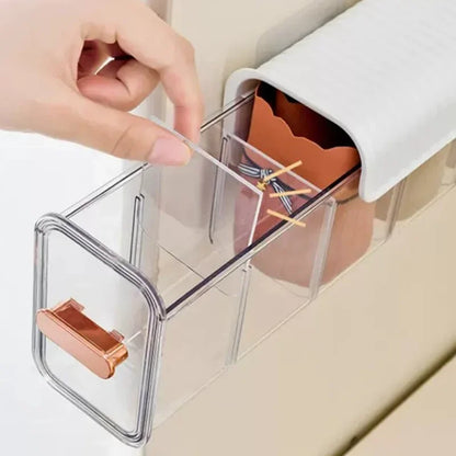 Purilite Select Wall-Mounted Underwear & Sock Storage Box | Closet Bra & Garments Holder | Drawer Case | Large Cloth Compartment Space-Saving
