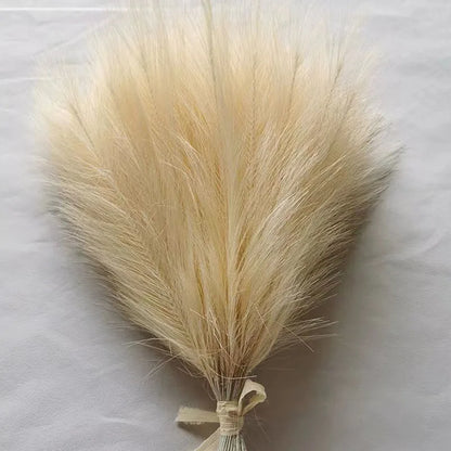 Purilite Select Fluffy Pampas Grass