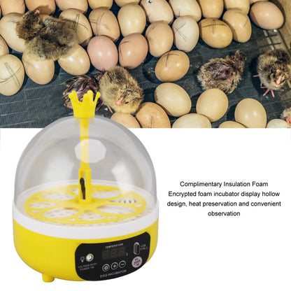 Purilite Select Mini Egg Incubator | Automatic Temperature & Humidity Control | 4-Egg Poultry Hatching Machine for Home Use