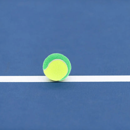 Purilite Select 20-Pack Green Dog Tennis Balls