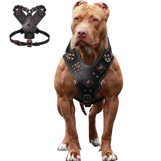 Purilite Select Genuine Leather Dog Harness