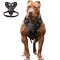 Purilite Select Genuine Leather Dog Harness