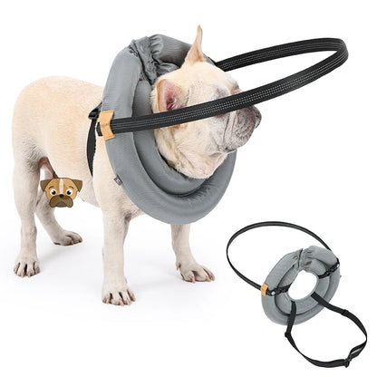 Purilite Select Blind Dog Safety Collar