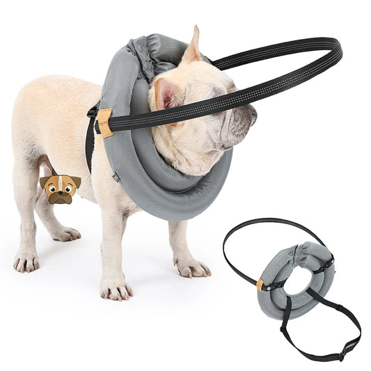 Purilite Select Blind Dog Safety Collar