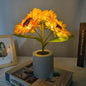 Purilite Select 3 LED Night Light