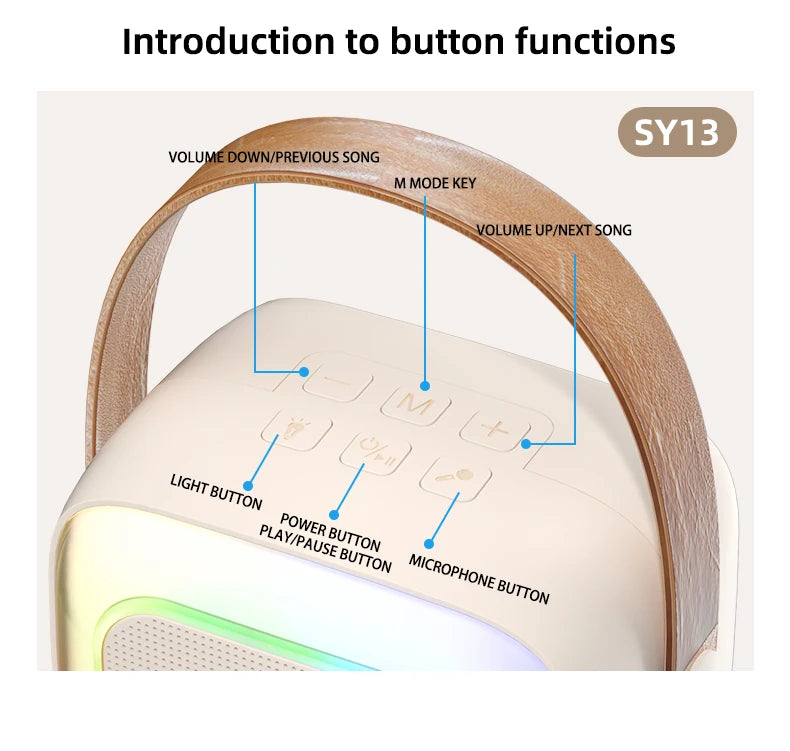 Purilite Select Portable Bluetooth 5.3 Home Karaoke Machine – Powerful Bass PA Speaker System with 2 Wireless Microphones
