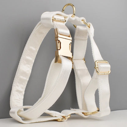 Purilite Select Custom Design Dog Collar, Leash, Harness & Bow Set