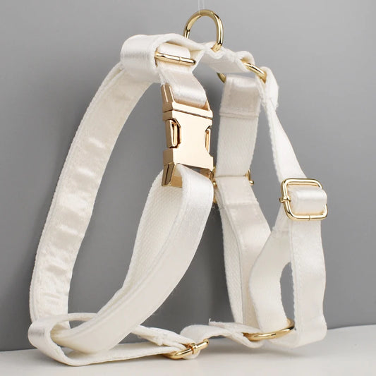 Purilite Select Custom Design Dog Collar, Leash, Harness & Bow Set