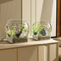 Purilite Select Clear Round Desktop Fish Tank