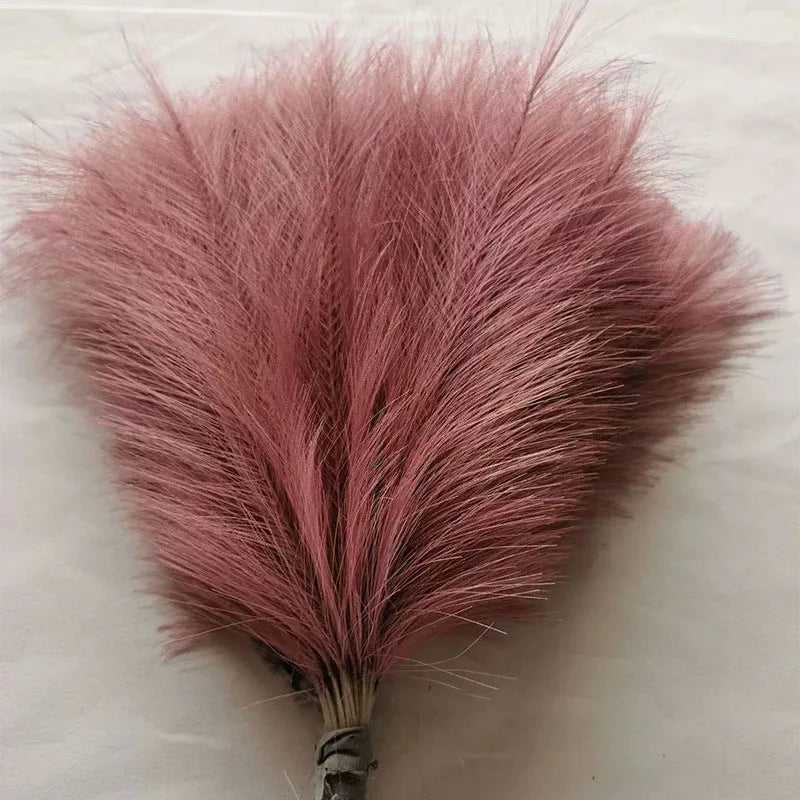 Purilite Select Fluffy Pampas Grass