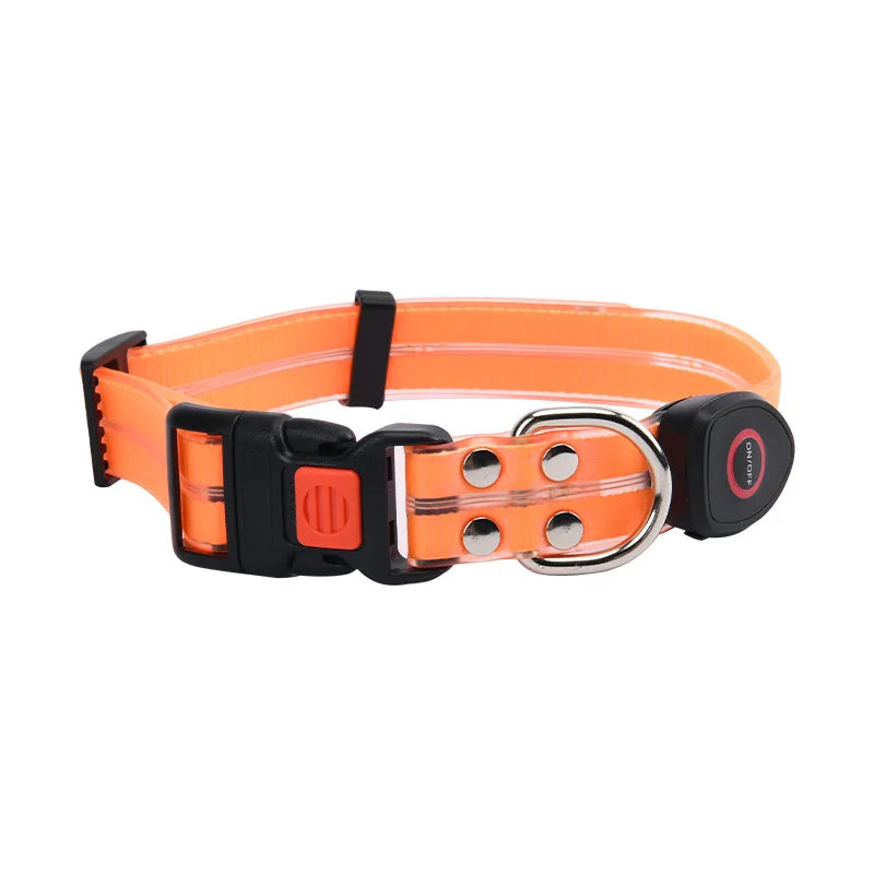 Purilite Select LED Light-Up Dog Leash & Collar