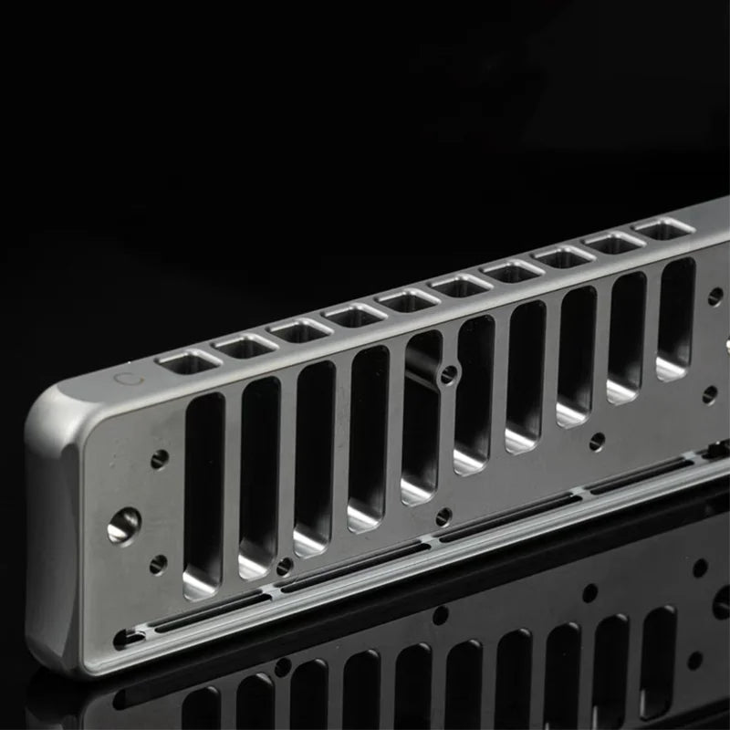 Purilite Select Diatonic Harmonica