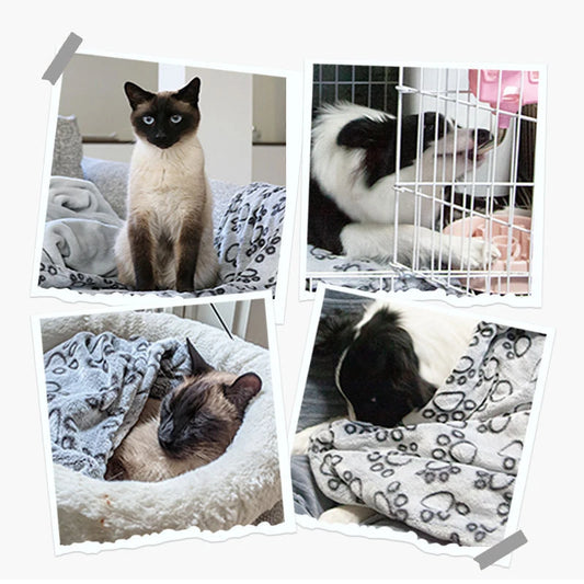 Purilite Select Soft Fluffy Pet Blanket