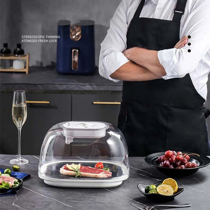 Purilite Select Multifunctional Kitchen Food Thaw Machine Fast Defroster for Meat and Frozen Foods