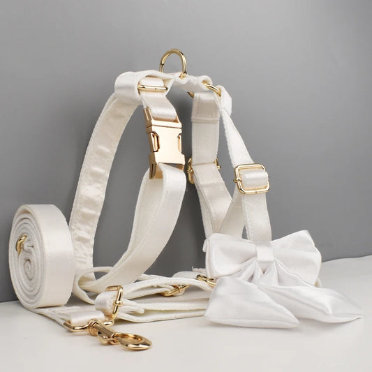 Purilite Select Custom Design Dog Collar, Leash, Harness & Bow Set